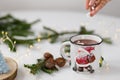 Female hand pouring marshmallows into a white cup of hot cocoa on a white table with a Christmas tree. Royalty Free Stock Photo
