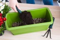 Female hand pouring soil into pot for transplanting spring flowers