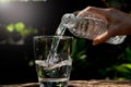 Female hand pouring water from bottle to glass on nature background Royalty Free Stock Photo