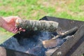 Female hand put birch firewood into bbq grill. Camping, cooking outdoors