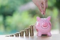 Female hand putting a coin into piggy bank , for invest money, I Royalty Free Stock Photo