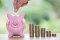 Female hand putting a coin into piggy bank , for invest money, I Royalty Free Stock Photo