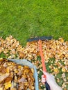 Female hand raking fall leaves with fan rake help on lawn