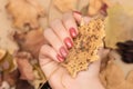 Female hand with red autumn nail design. Woman hand hold dry leaf. Autumn nail polish manicure with golden glitter Royalty Free Stock Photo