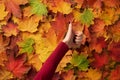 Female hand with red manicure holding gesture of likeness over colorful maple leaves background. I love gold autumn weather. Ok