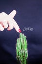 Female hand with red nail polish and green cactus. Ouch. Prickly prick. Dangerous touch concept. Black background
