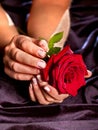 Female hand with red rose flower in black dress