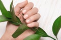 Female hand with rose nail design. Rose nail polish manicure. Female hand with green leaf on white background