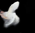 Female hand sifts white wheat flour through a round wooden sieve on a black background Royalty Free Stock Photo