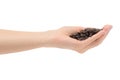 Female hand sunflower seeds Royalty Free Stock Photo