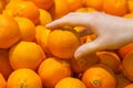 A female hand takes a orange Clementines fruits