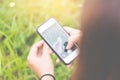 Female hand takes pictures of yellow flowers with mobile smart phone. On the background of yellow flowers and green grass Royalty Free Stock Photo