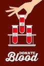 Female hand with test tubes on rack donate blood Royalty Free Stock Photo