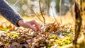 Female hand about to pick an early purple spring flower Royalty Free Stock Photo