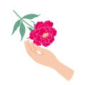 Female Hand Touches Red Peony Flower Royalty Free Stock Photo