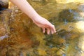 Female hand touching fresh stream water