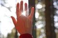 Female hand touching the sun, sunlight passing through fingers