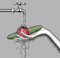 Female hand washes vegetables under the water tap