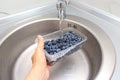 Female hand washing ripe blueberry in a kitchen sink under water jet, cleaning fresh juicy fruits in plastic containers of