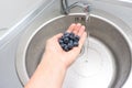 Female hand washing ripe blueberry in a kitchen sink under water jet, cleaning fresh juicy fruits in plastic containers of