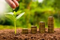 Female hand watering young plant with stack coin for growing bus Royalty Free Stock Photo