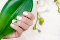 Female hand with white nail design. Glitter white nail polish manicure. Woman hand with green apple nail art Royalty Free Stock Photo