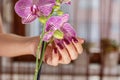 Feminine Elegance: Female Hand with Wine Color Nails Polish and Purple Orchid Flower