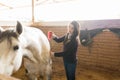 Woman Enhancing Physical Appearance Of Horse