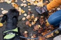 Female handler picks the pile of poop up with a plastic bag