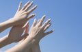 Female hands Royalty Free Stock Photo