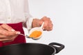 Cooking with curry Royalty Free Stock Photo