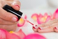 Female Hands Applying Nail Varnish Royalty Free Stock Photo