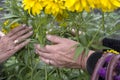 Female Hands Arranging Bouquet