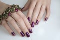 Manicured woman`s nails with french nail art. Nailart manicure.