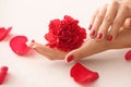 Female hands with beautiful manicure and flower on light background Royalty Free Stock Photo