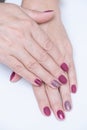 Female hands with a beautiful manicure on a white background. Gel polish in a beauty salon Royalty Free Stock Photo