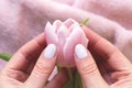 Female hands with beautiful manicure - white ivory nails with tulip flower on blurred pink fabric background. Selective focus Royalty Free Stock Photo