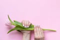 Female hands with beautiful manicure - white ivory oval nails with tulip flower on pink paper background with copy space Royalty Free Stock Photo