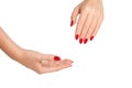 Female Hands of a beautiful well-groomed woman with feminine red nails on a white background Royalty Free Stock Photo