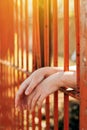 Female hands behind prison yard bars Royalty Free Stock Photo