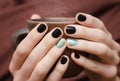 Female hands with black manicure. Royalty Free Stock Photo