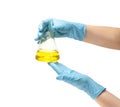 Female hands in a blue rubber glove holds a flask of yellow medicine on white background isolate Royalty Free Stock Photo