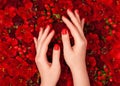 Female hands with bright red manicure on a background of luxurious floral background