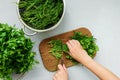 Female hands chopping fresh green parsley and dill or fennel on cutting boar on gray wooden table. Top view. Copy space. Royalty Free Stock Photo