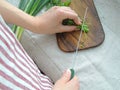 Female hands chopping herbs on the old chopping board. Royalty Free Stock Photo