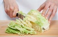 Female hands chopping savoy cabbage Royalty Free Stock Photo