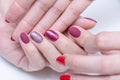 Female hands with a beautiful manicure on a white background. Gel polish in a beauty salon Royalty Free Stock Photo