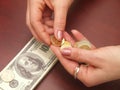 Female hands consider coins Royalty Free Stock Photo