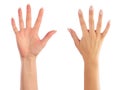 Female hands counting