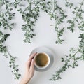 Female hands with a cup of coffee in branches with green leaves on a white table. Cofee art. Flat lay, top view. Royalty Free Stock Photo